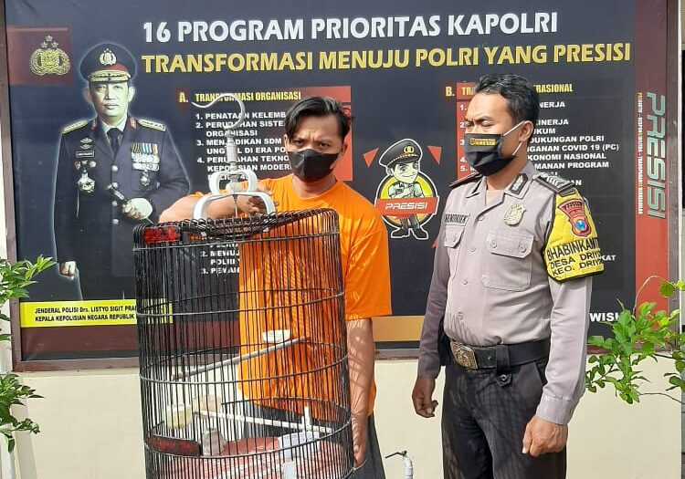 Terekam CCTV, Maling Spesialis Burung di Driyorejo Dibekuk Polisi